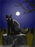 gato-608.gif
