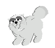 gato-609.gif