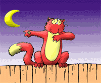 gato-613.gif
