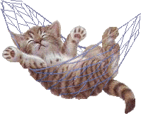 gato-614.gif