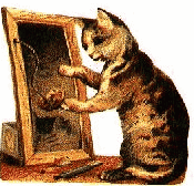 gato-627.gif