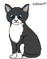 gato-637.gif