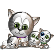 gato-640.gif