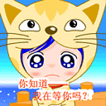 gato-643.gif