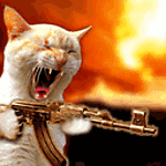 gato-646.gif