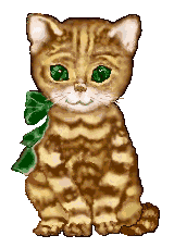 gato-647.gif