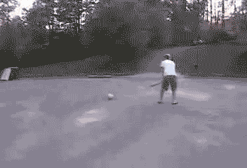 gato-681.gif