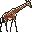 girafa-004.jpg