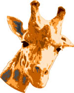 girafa-016.jpg