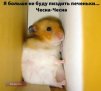 hamster-009.jpg