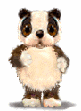 hamster-011.gif