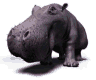 hipopotamo-014.gif