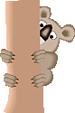 koala-006.gif