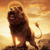 leon-028.jpg