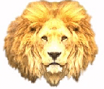 leon-050.gif