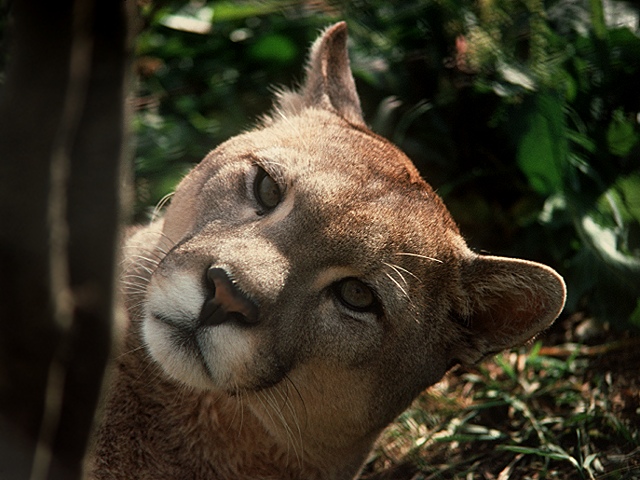 leon-065.jpg