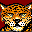 leopardo-005.gif