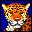 leopardo-007.jpg