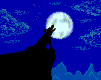 lobo-012.gif