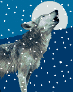 lobo-037.gif