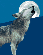 lobo-038.gif
