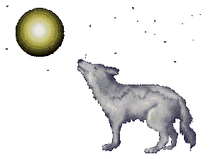 lobo-040.gif