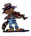 mapache-006.gif