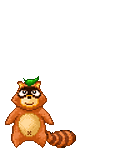 mapache-009.gif