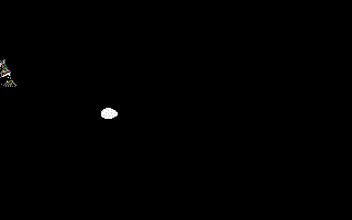 mapache-015.gif