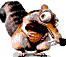 mamifero-miscelanea-024.gif