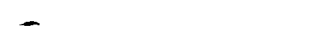 orca-001.gif