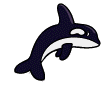 orca-010.gif