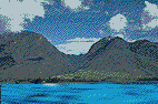 orca-011.gif