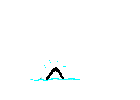 orca-013.gif