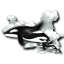 orca-018.png