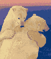 oso-polar-014.gif