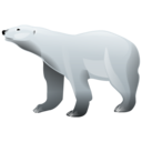 oso-polar-016.png