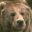 oso-027.jpg