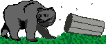 oso-063.gif