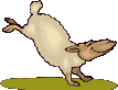 oveja-cabra-048.gif