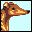 perro-080.jpg