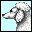 perro-081.gif