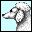 perro-083.jpg