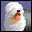 perro-088.gif