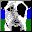 perro-089.jpg
