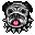 perro-093.jpg