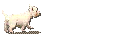 perro-113.gif