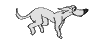 perro-137.gif