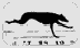 perro-138.gif