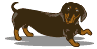 perro-147.gif